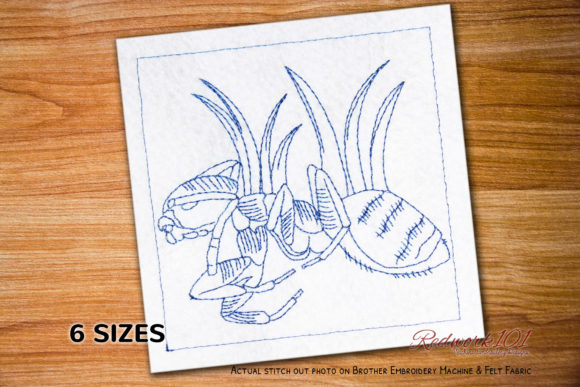 Macro Ghost Ant Design: A Designer's Real-World Review